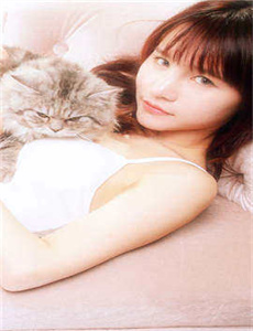 追龙2