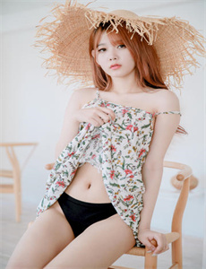 孤胆特工